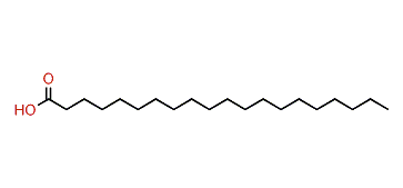 Eicosanic acid